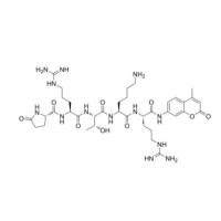 155575-02-3 | {Pyr}-Arg-Thr-Lys-{Arg-AMC}| 酶显色底物 | {Pyr}-RTK-{Arg-AMC} | AMC 肽可用于测定蛋白酶的活性和酶抑制剂的效力