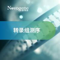 真核无参转录组测序（RNA-seq）