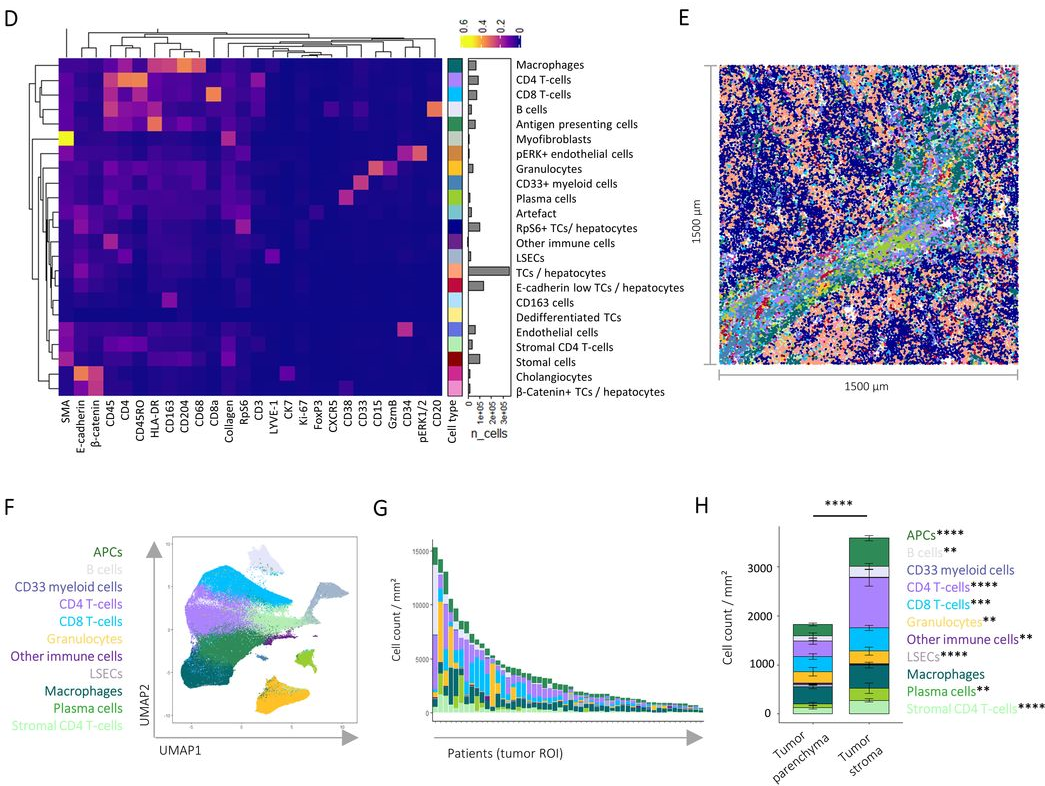 文献解读 | 肝癌免疫组织结构决定免疫疗法预后