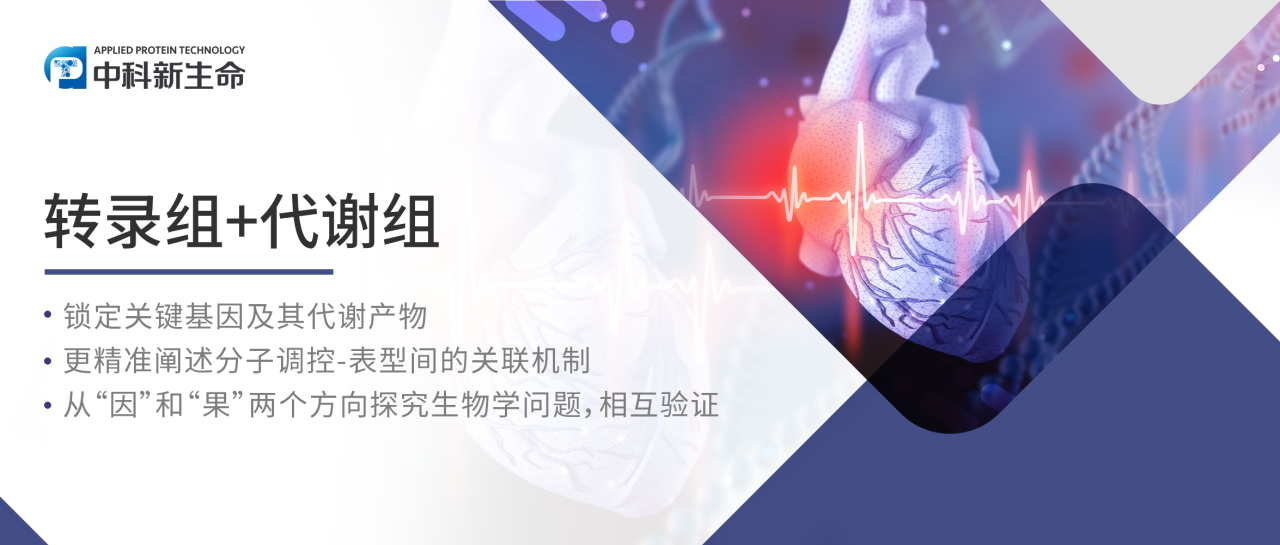 Circulation | 揭秘心脏损伤背后的秘密：上科大/同济/复旦团队联合揭示印迹基因PW1的激活可促进心脏纤维化