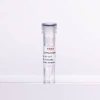2×高保真PCR预混液（5ml）