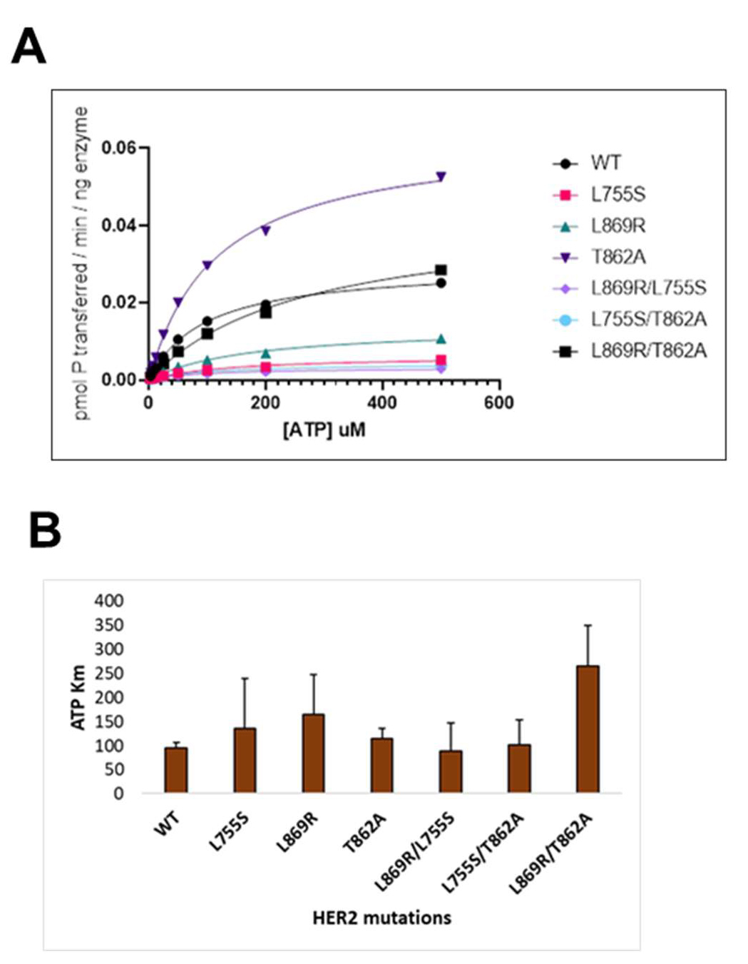 激酶突变体：破解肿瘤耐药的一把“钥匙”，应对激酶抑制剂开发挑战的关键