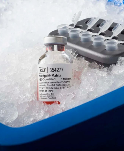 康宁基质胶354277