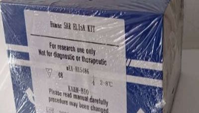 3T3-L1细胞成脂诱导分化与染色试剂盒