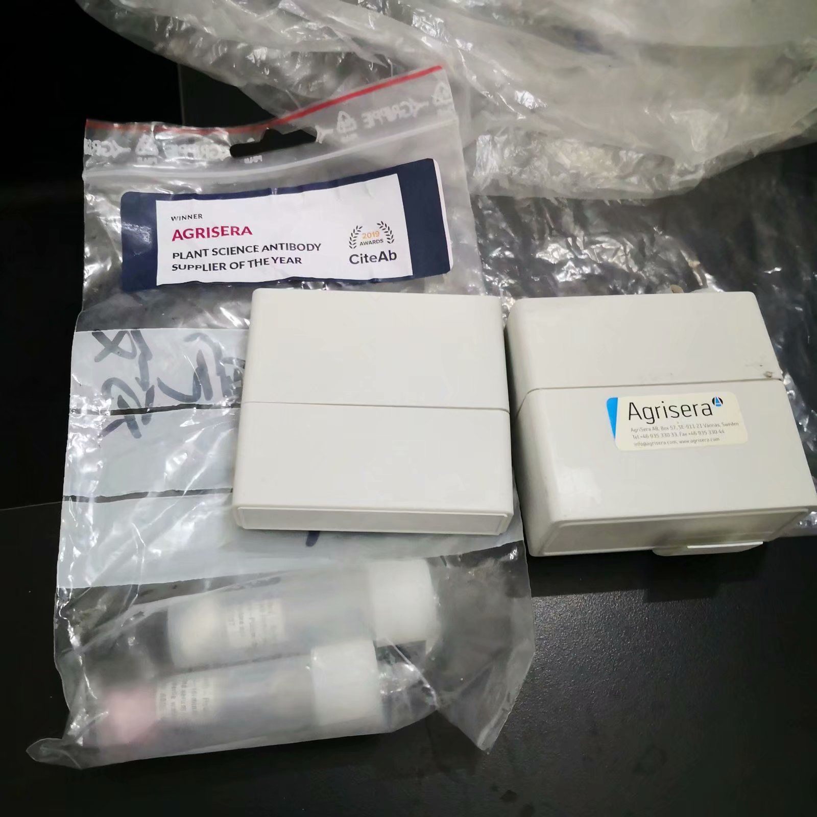 供应PsbA | D1 protein of PSII, C-terminal 
光系统II D1蛋白（PsbA),C端