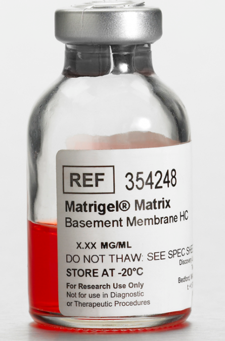 康宁基质胶354248