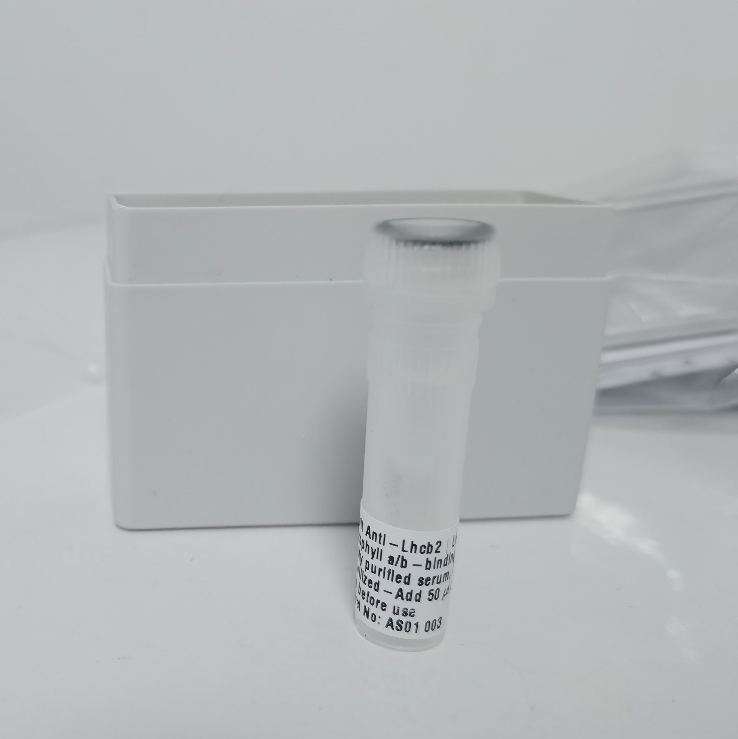 免抗捕光色素b结合蛋白2 多克降抗体