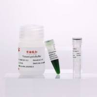 动物组织/细胞PCR直扩试剂盒