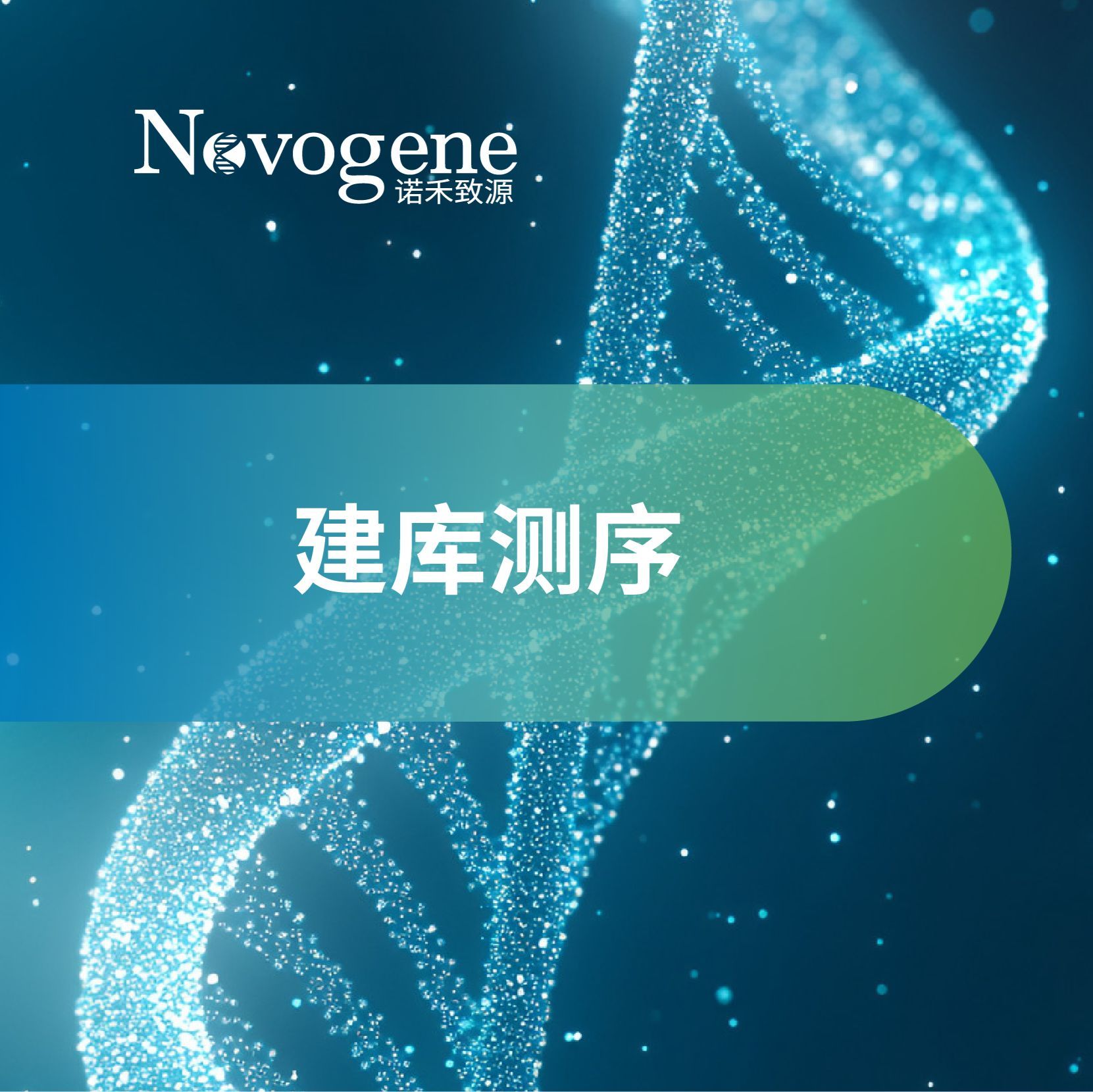 二代建库测序/纯测序