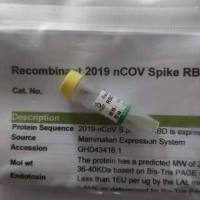 短双歧杆菌核酸检测试剂盒（荧光PCR法）