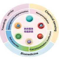  载T1对比剂Gd-DOTA的聚合物/脂质/纳米颗粒 | 磁共振MRI成像显影剂 | 多功能MRI对比剂