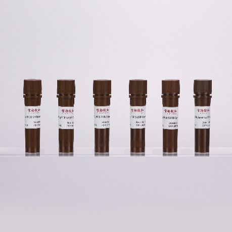 2×热启动染料法qPCR预混液(低浓度ROX)