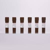 2×热启动染料法qPCR预混液(低浓度ROX)