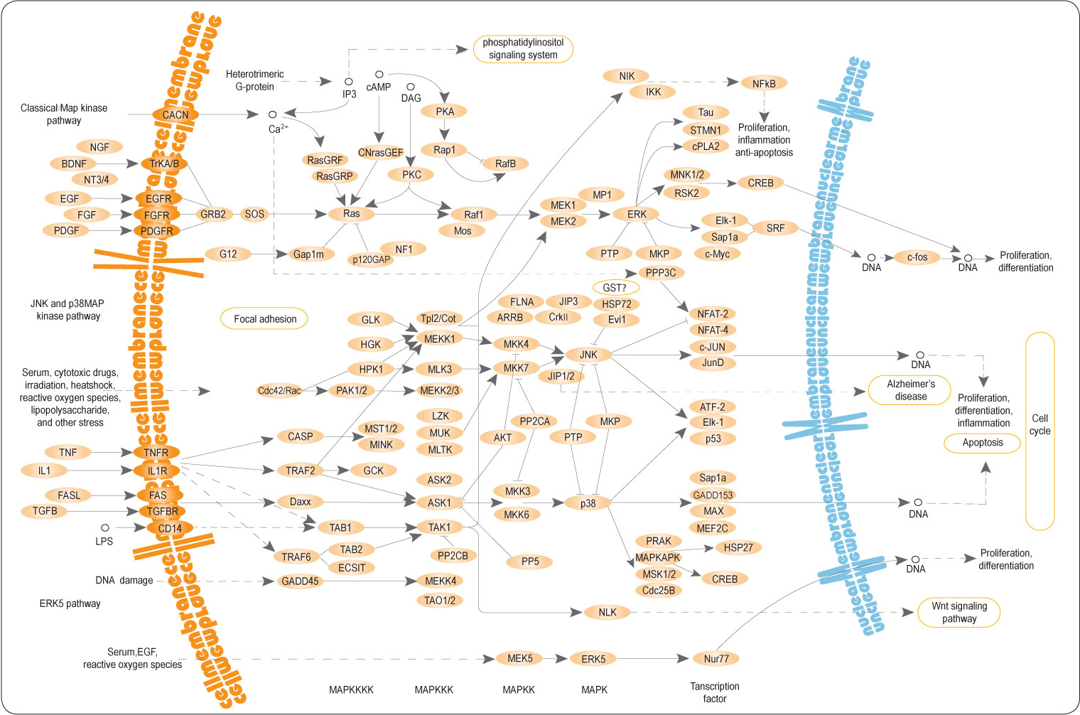 677398663b357.jpg 1735614795864194.jpg