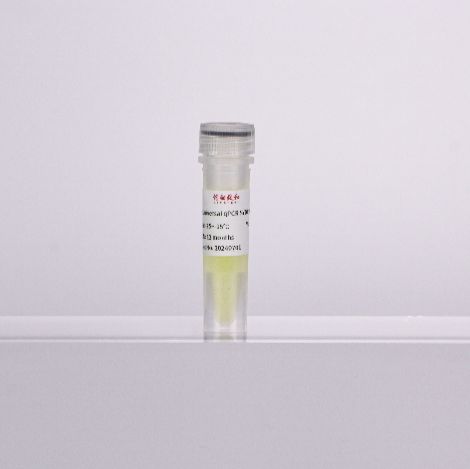 2×超敏型通用染料法qPCR预混液(含示踪剂)