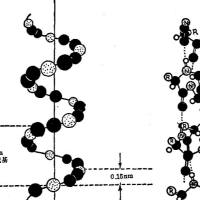 河流弧菌核酸检测试剂盒（荧光PCR法）