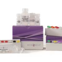 ATAC-Seq试剂盒 ATAC-Seq Kit 53150/53156