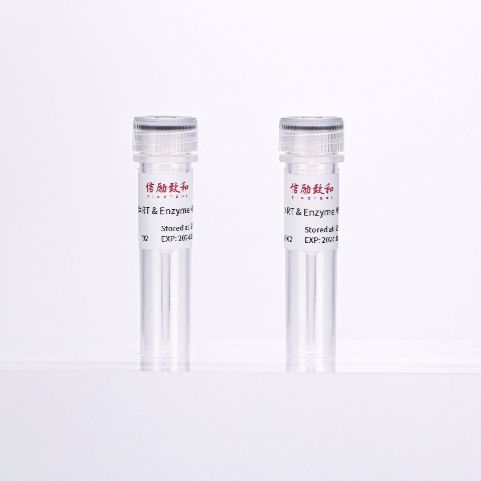 逆转录合成第一链cDNA试剂盒