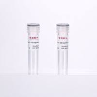 逆转录合成第一链cDNA试剂盒