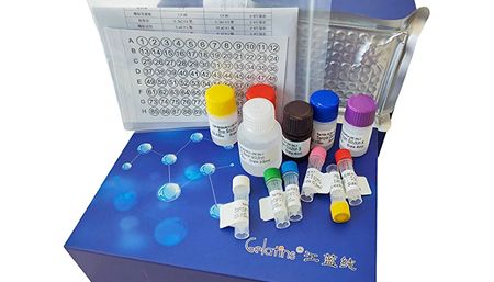 上海机纯2025元旦放假通知