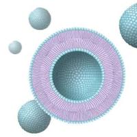 包载甲氨蝶呤的脂质体被谷胱甘肽GSH和谷胱甘肽转运体修饰