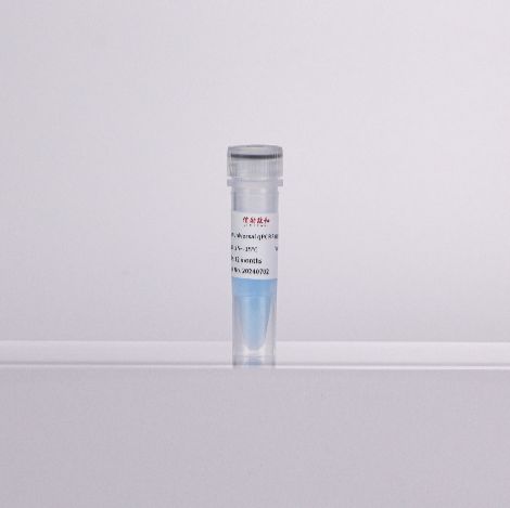 2×高特异性通用染料法qPCR预混液)