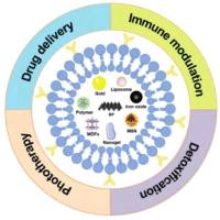 胰腺炎靶向磁共振成像(MRI) 对比剂 | 增强磁共振成像(MRI) | 胰腺炎靶向磁共振造影剂