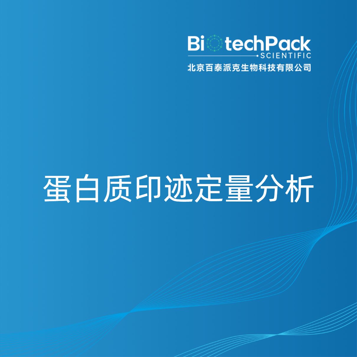 蛋白质印迹定量分析