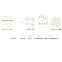 包载天然黄酮槲皮素的a-疏辛酸（α-LA）自组装杜仲多糖纳米粒（LA-EUP NPS）具有GHS响应