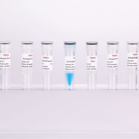 单点突变试剂盒