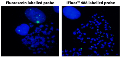 iFluor488-dUTP，低价格享受