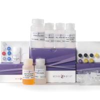 CUT&Tag-IT® Core Assay Kit 53176