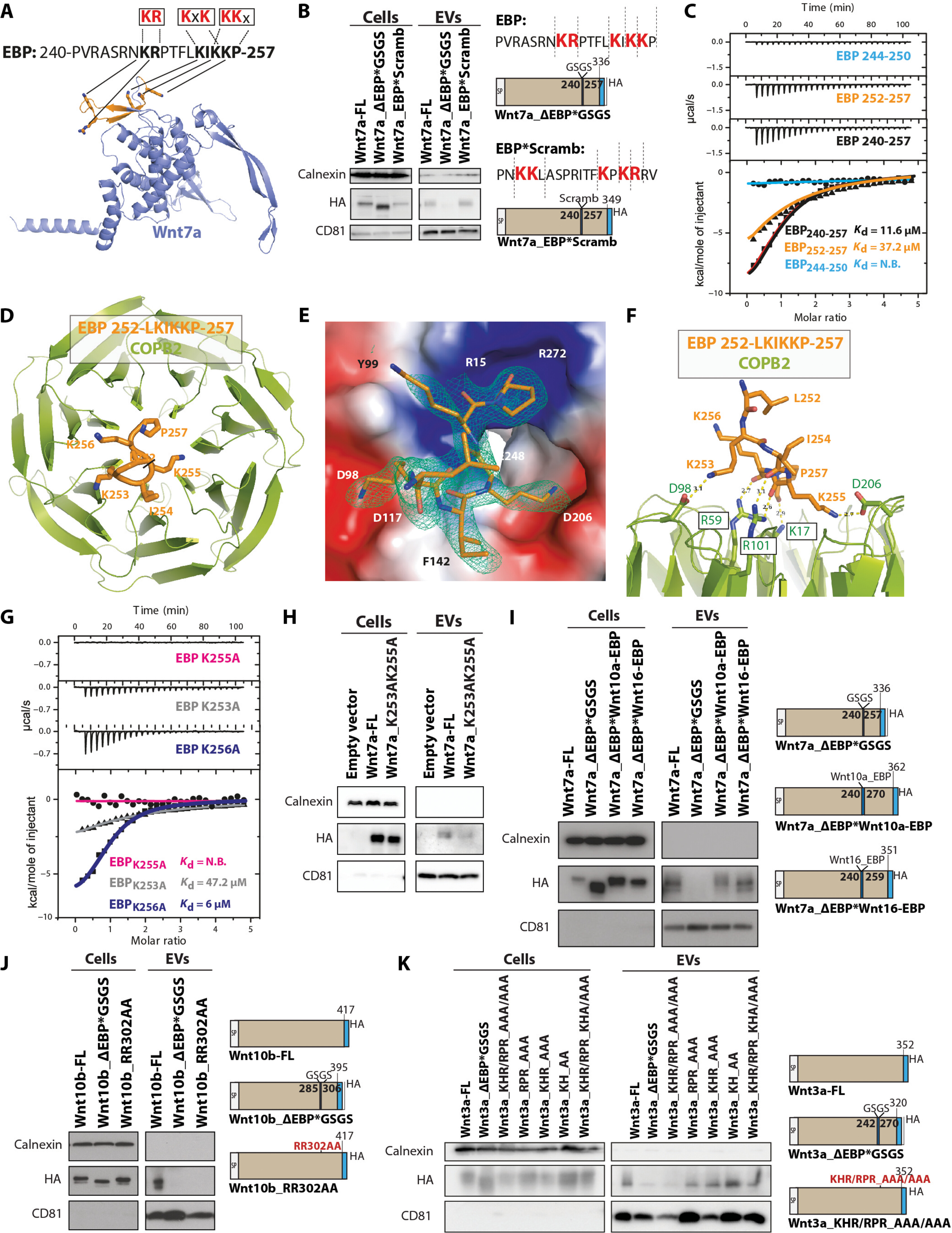 外泌体技术服务 外泌体技术服务