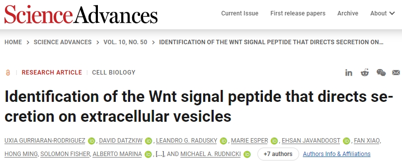 解析Wnt信号肽，推动外泌体研究飞跃！IF：11.7优质佳作，还等什么？赶紧上车！