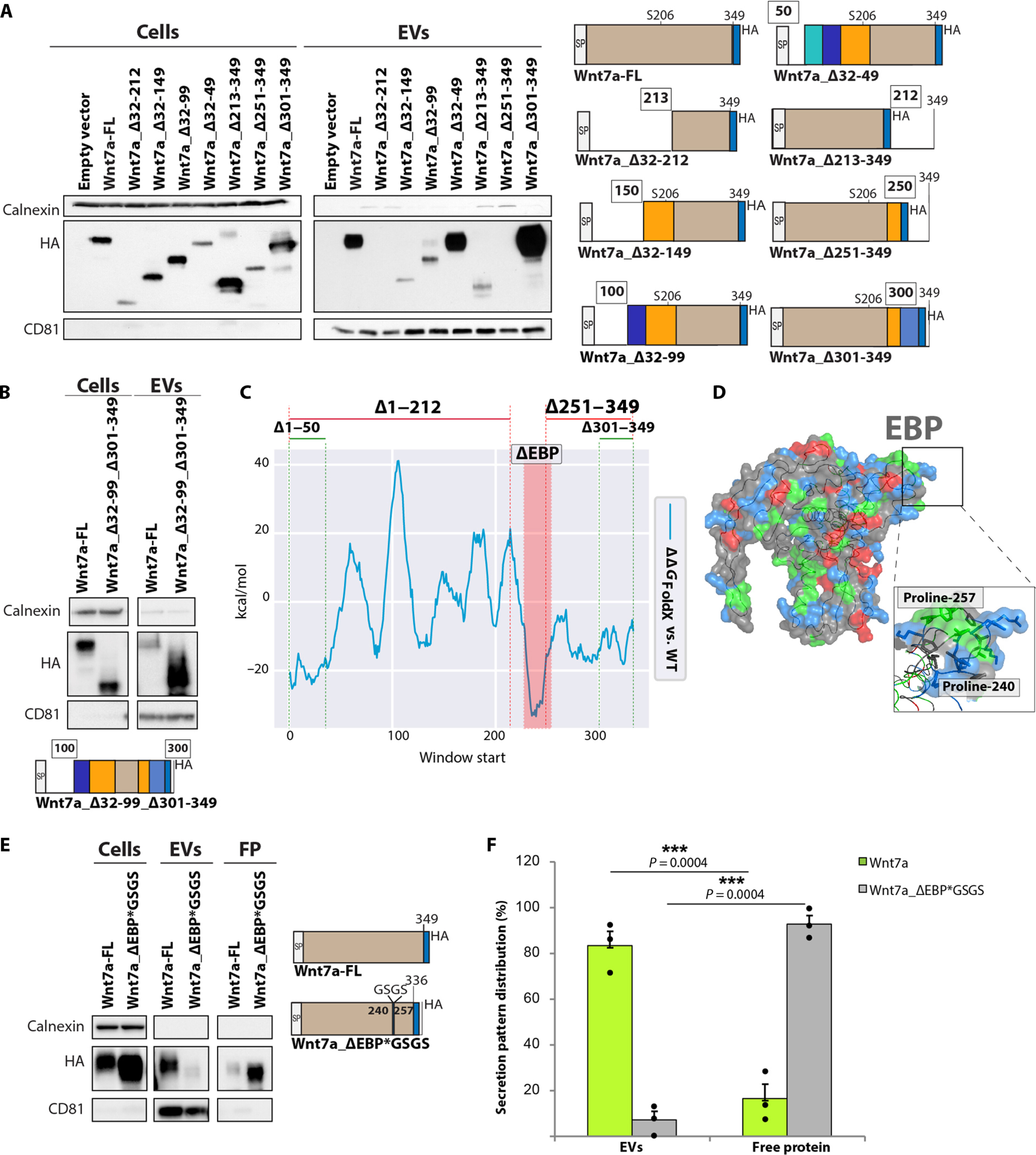 外泌体技术服务 外泌体技术服务