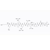 129198-88-5  | Autocamtide II |  KKALRRQETVDAL  | Lys-Lys-Ala-Leu-Arg-Arg-Gln-Glu-Thr-Val-Asp-Ala-Leu | CaMKII底物