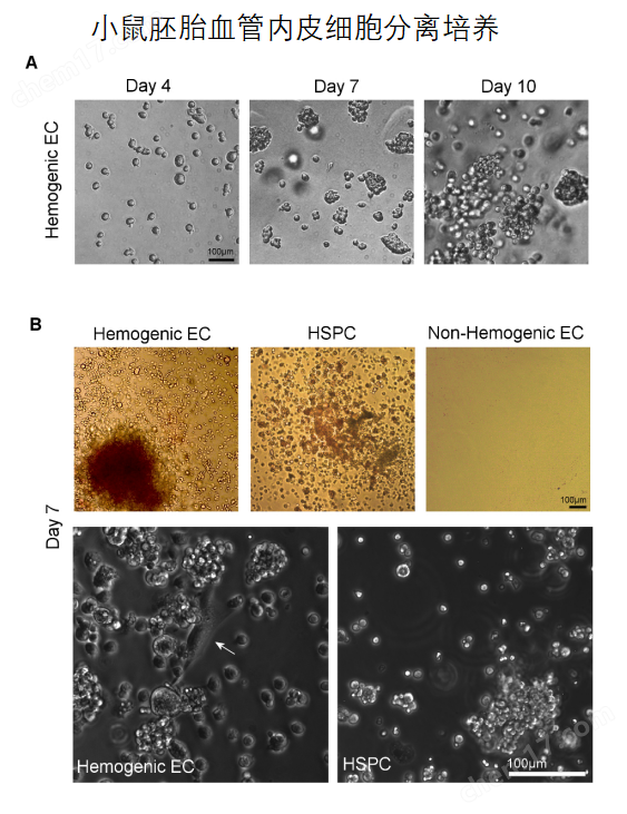 微信截图_20230217133206.png 微信截图_20230217133206.png