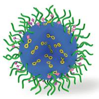 包载卡莫司汀的PEG-PLA胶束被T7肽修饰