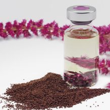 植物源角鲨烯 PhytoSquene