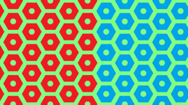 BionovaX DLP式多材料3D生物打印