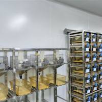 大鼠动脉粥样硬化模型