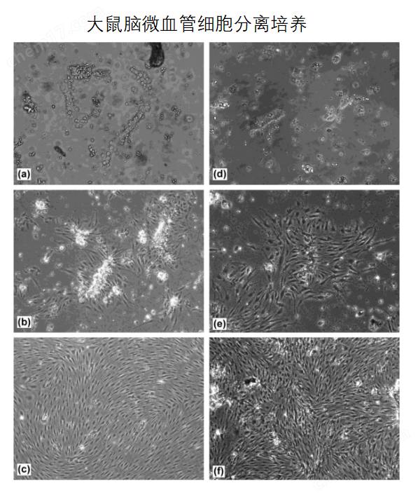 微信截图_20230217133245.png 微信截图_20230217133245.png