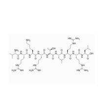 105802-82-2  | Protein kinase C substrat | VRKRTLRRL | Val-Arg-Lys-Arg-Thr-Leu-Arg-Arg-Leu | 蛋白激酶 C (PKC) 底物