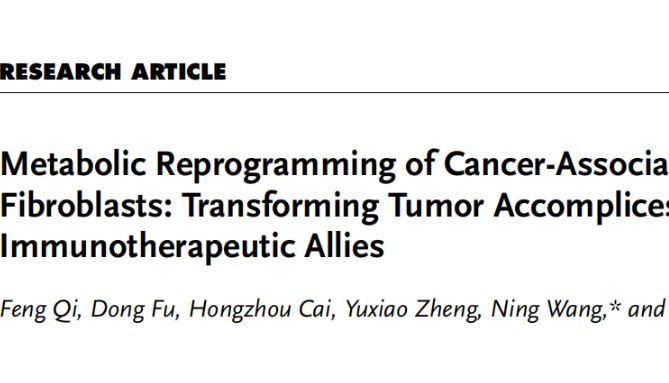 南模生物助力肿瘤相关成纤维细胞的代谢重编程研究