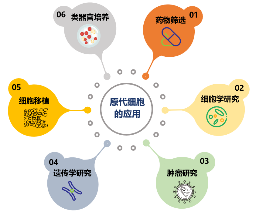 07 人原代细胞产品手册(V1.0)
