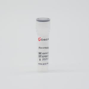 GMP Recombinant Human G-CSF