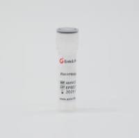 GMP Recombinant Human IL-2