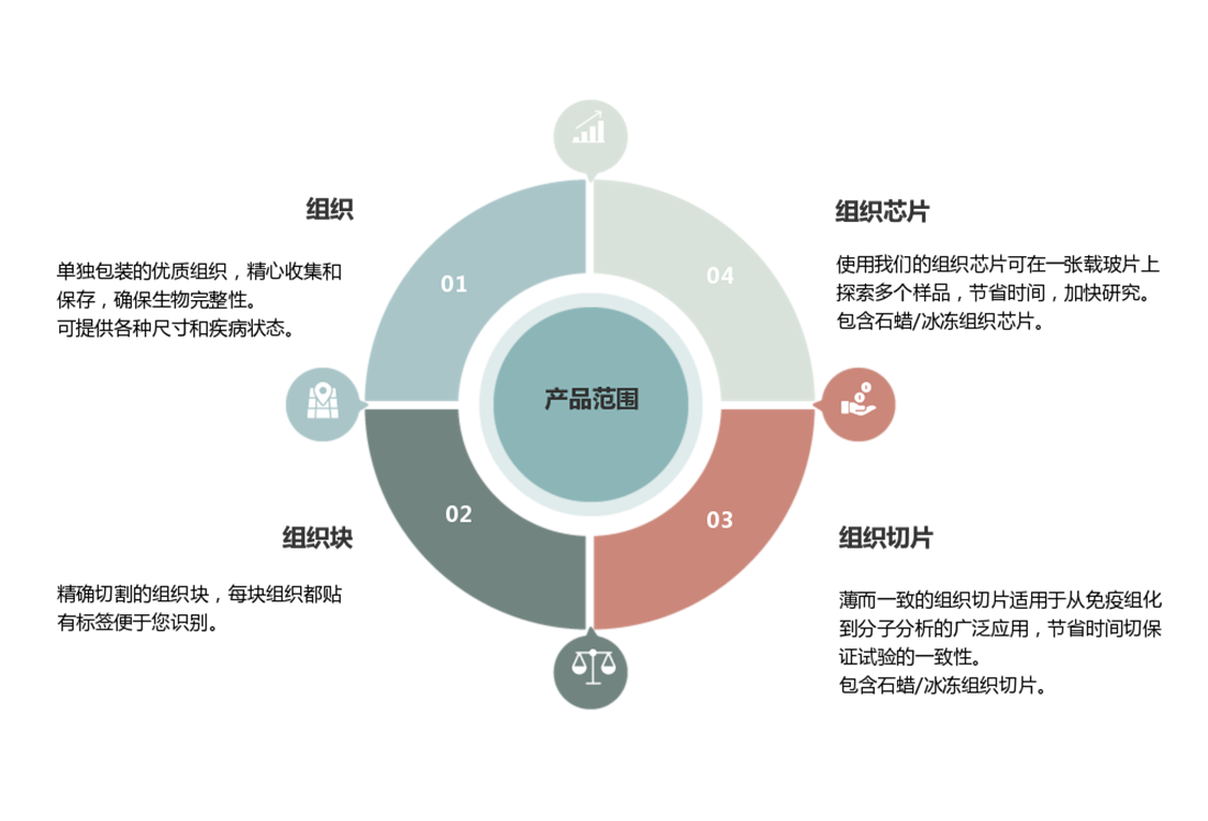06 组织交叉反应(TCR)产品手册(V1.0)