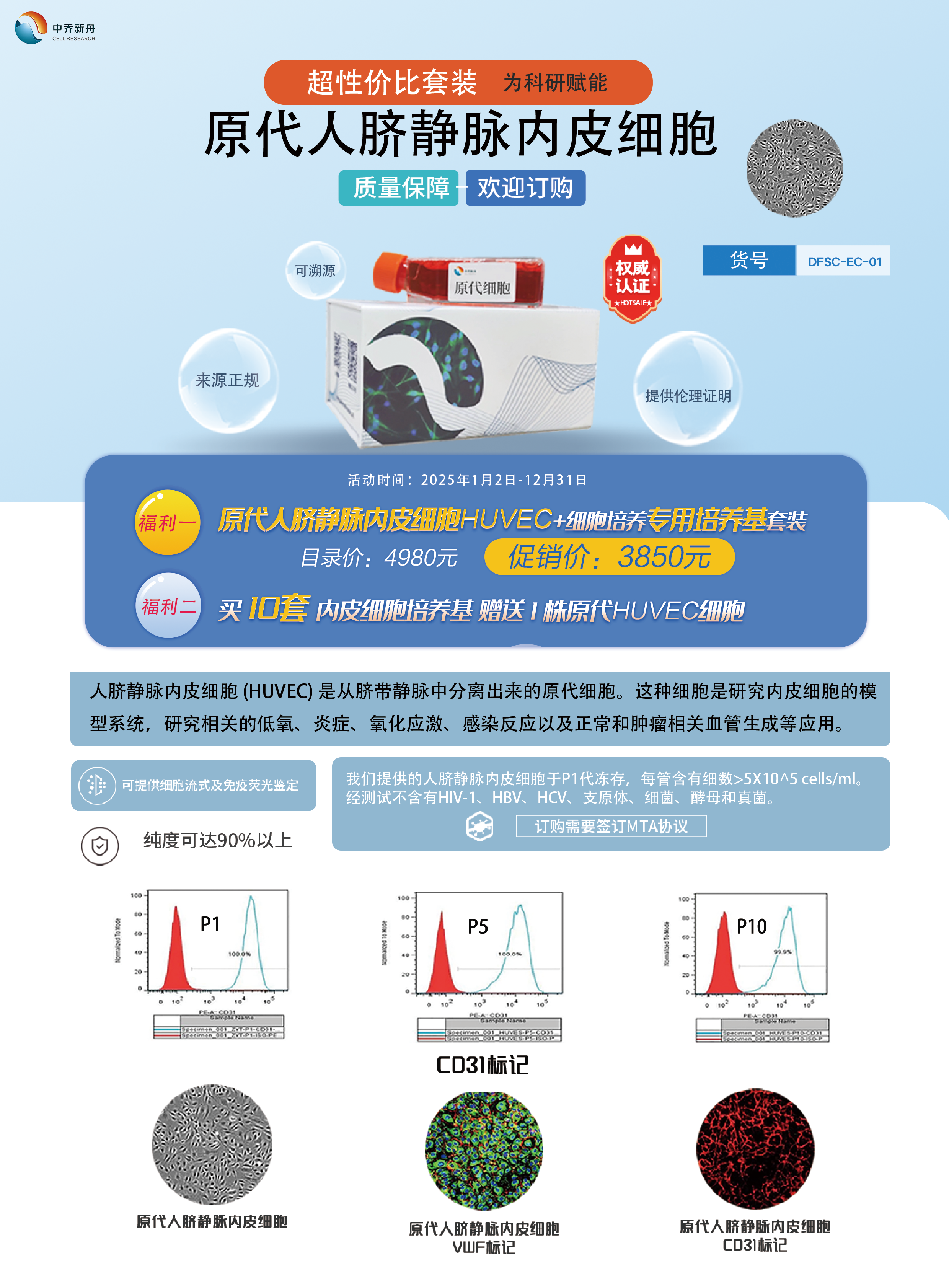 人脐静脉内皮细胞HUVEC-可提供伦理（细胞+500ml专培