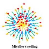 P1 (FA-PEG37-PHEMA20-PDEAEMA40)和P2 (PCL70-PHEMA20-PEGMA15)混合胶束包载阿霉素(DOX)